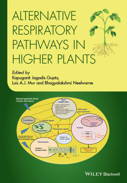 Alternative Respiratory Pathways in Higher Plants - Группа авторов