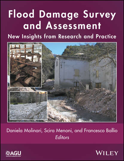 Flood Damage Survey and Assessment - Группа авторов