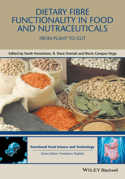 Dietary Fibre Functionality in Food and Nutraceuticals - Группа авторов