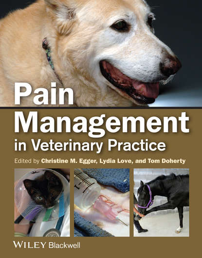 Pain Management in Veterinary Practice - Группа авторов