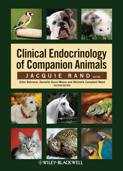 Clinical Endocrinology of Companion Animals - Группа авторов