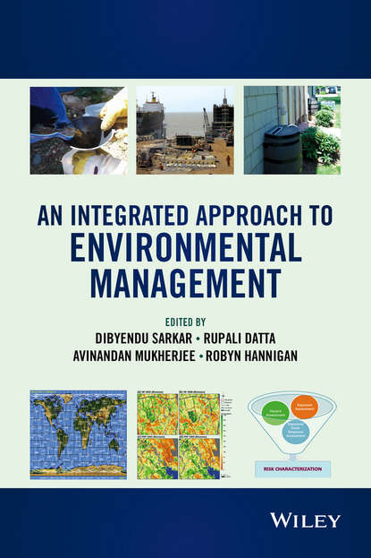 An Integrated Approach to Environmental Management - Группа авторов