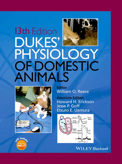 Dukes' Physiology of Domestic Animals - Группа авторов