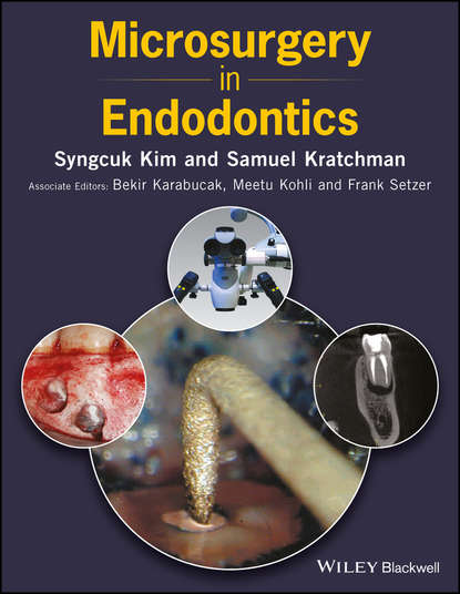 Microsurgery in Endodontics - Группа авторов