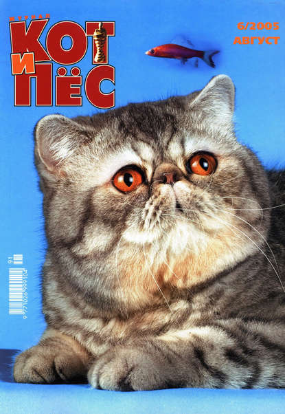 Кот и Пёс №06/2005 - Группа авторов