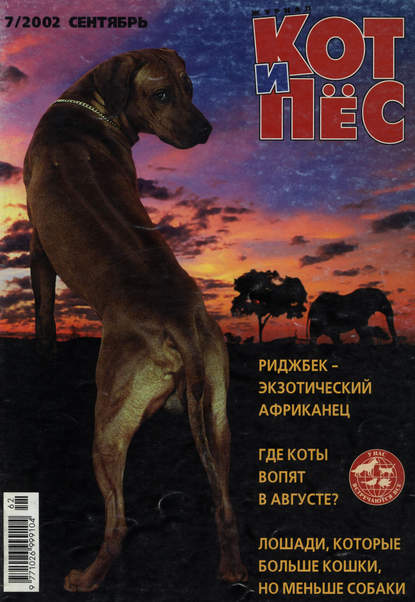 Кот и Пёс №07/2002 - Группа авторов
