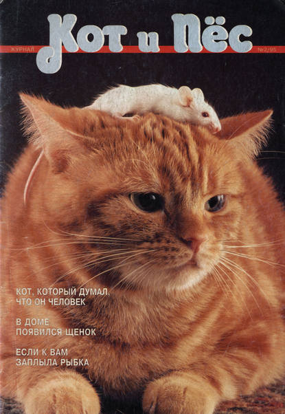 Кот и Пёс №02/1995 — Группа авторов