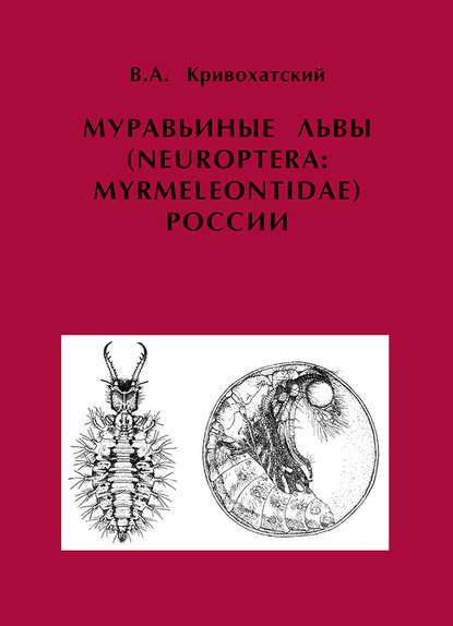 Муравьиные львы (Neuroptera: Myrmeleontidae) России - В. А. Кривохатский