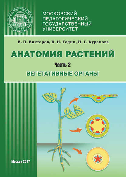 Анатомия растений. Часть 2. Вегетативные органы - Наталия Куранова