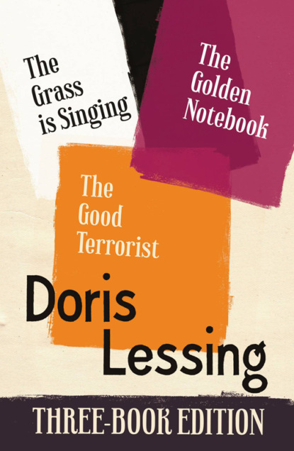 Doris Lessing Three-Book Edition: The Golden Notebook, The Grass is Singing, The Good Terrorist - Дорис Лессинг