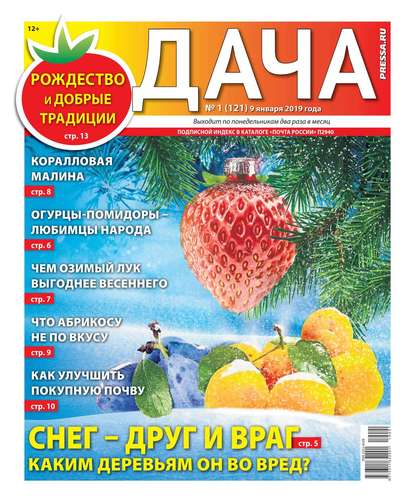 Дача Pressa.ru 01-2019 - Редакция газеты Дача Pressa.ru