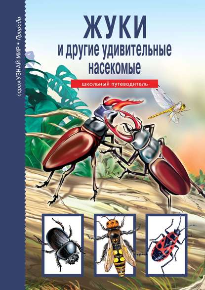 Жуки и другие удивительные насекомые - Сергей Афонькин