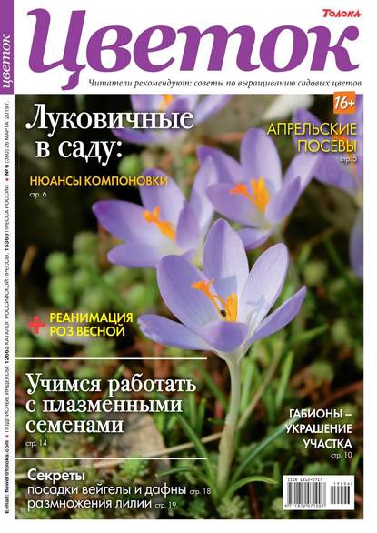 Цветок 06-2019 - Редакция журнала Цветок
