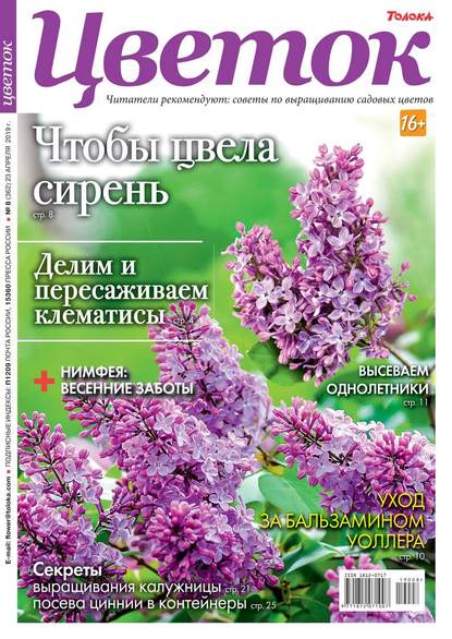 Цветок 08-2019 - Редакция журнала Цветок