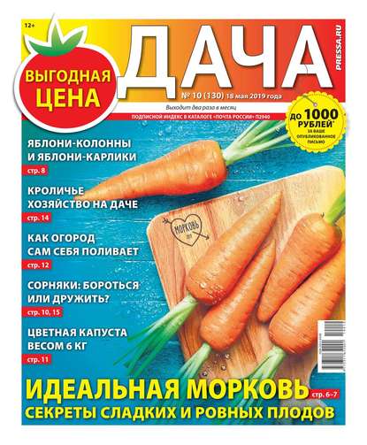 Дача Pressa.ru 10-2019 - Редакция газеты Дача Pressa.ru