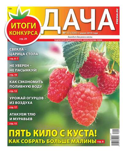 Дача Pressa.ru 11-2019 - Редакция газеты Дача Pressa.ru