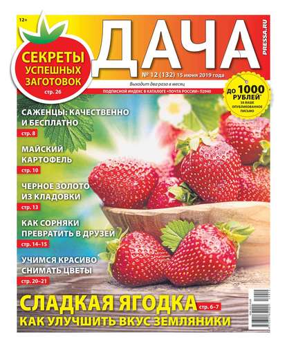 Дача Pressa.ru 12-2019 - Редакция газеты Дача Pressa.ru