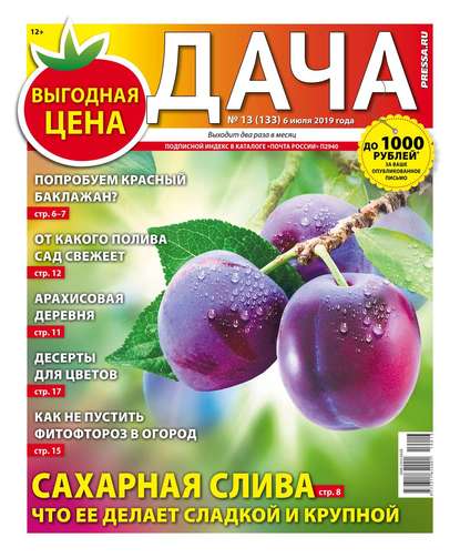 Дача Pressa.ru 13-2019 - Редакция газеты Дача Pressa.ru