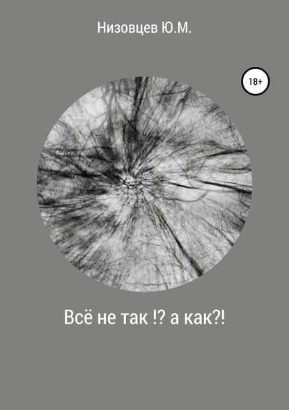 Всё не так?! А как?! - Юрий Михайлович Низовцев