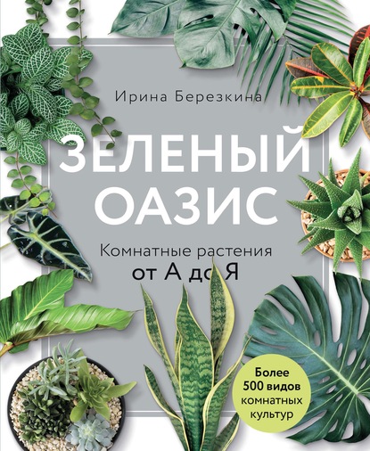 Зеленый оазис. Комнатные растения от А до Я — Ирина Березкина