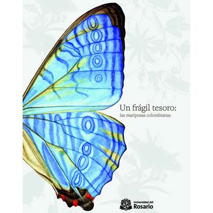 Un fr?gil tesoro: las mariposas colombianas - Группа авторов